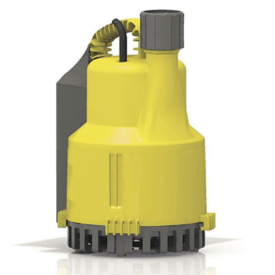 Electric Submersible Pump